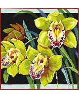 Impressive, Bold Interpretation of Orchids!