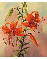 New! Pre-printed colored background makes this lily pop off the fabric!