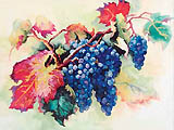 Wine Country, Here we come! One is sure to suit the most discriminiting palate with Fruit of the Vine, these ready for harvest grapes. This design is worked in Embellished Counted Cross-stitch.