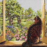 See the world as a cat sees it.
