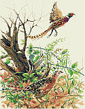 Pheasants - PDF: This realistic design features colorful pheasants in action in a rustic scene of the forest.  Incorporating beautiful autumn colors, a dynamic composition, this is sure to make anyone appreciate the splendor of the fall season. Give as a thoughtful gift for any autumn occasion or use as part of your Thanksgiving Day décor. 
