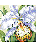 White Orchid - PDF: Elegant and subtly exotic, this beautiful cross stitch orchid infuses a sense of luxury to your decor. Makes a great gift for the gardener in your family. Surprise them for their birthday, Mother’s Day or simply to celebrate spring.

