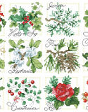Christmas Botanical Ornaments - PDF